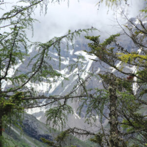 ubezpieczenie górski trekking DobraPolisa24pl